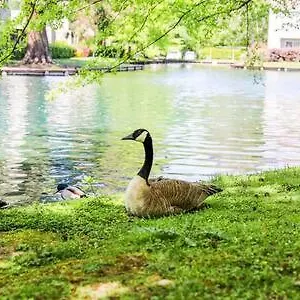 Experience With Tranquil Lakeside Views Apartment Sacramento